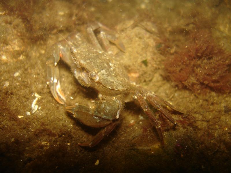 06 ZL 030.JPG
